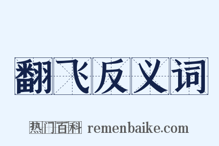翻飞反义词是什么意思的图片